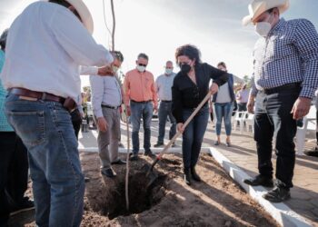 Ayuntamiento de Guasave comienza reforestación en el Río Sinaloa