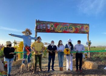 Campo de Girasoles 2021 en Mocorito es inaugurado