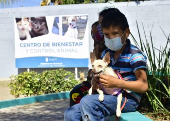 Centro de Bienestar y Control Animal presenta buena respuesta ciudadana