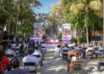 Se sustentará en saber e investigación de científicos sinaloenses: RRM